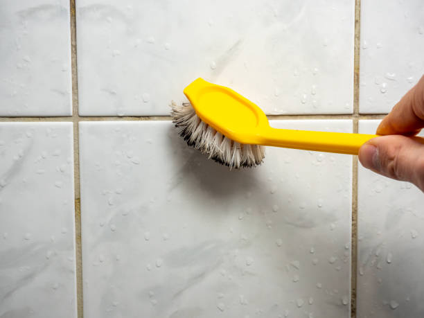 Mold Removal Process in Sylvania, OH