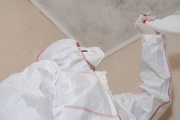 Best Local Mold Removal Service  in Sylvania, OH